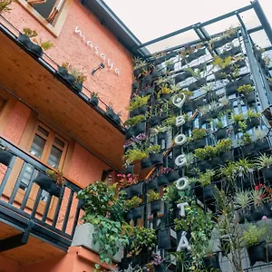  Hostal Masaya Colombia